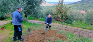 azienda agricola milone