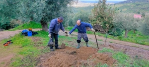 azienda agricola milone