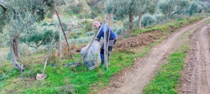 azienda agricola milone