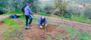 azienda agricola milone