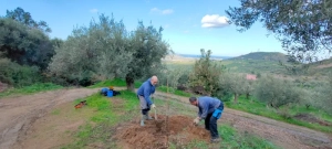 azienda agricola milone