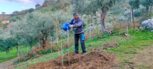 azienda agricola milone