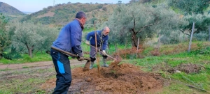 azienda agricola milone
