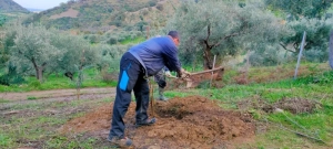 azienda agricola milone