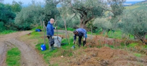 azienda agricola milone