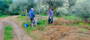 azienda agricola milone