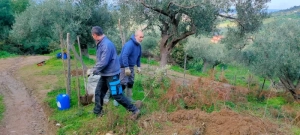 azienda agricola milone