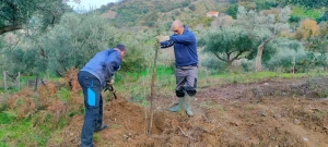 azienda agricola milone