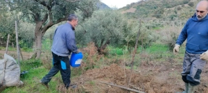 azienda agricola milone