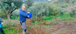 azienda agricola milone