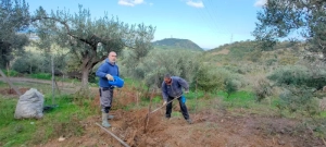 azienda agricola milone