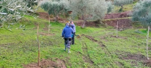 azienda agricola milone lavoro campi