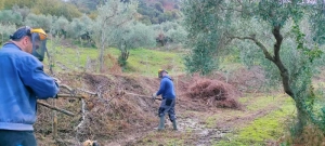 azienda agricola milone lavoro campi