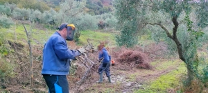 azienda agricola milone lavoro campi