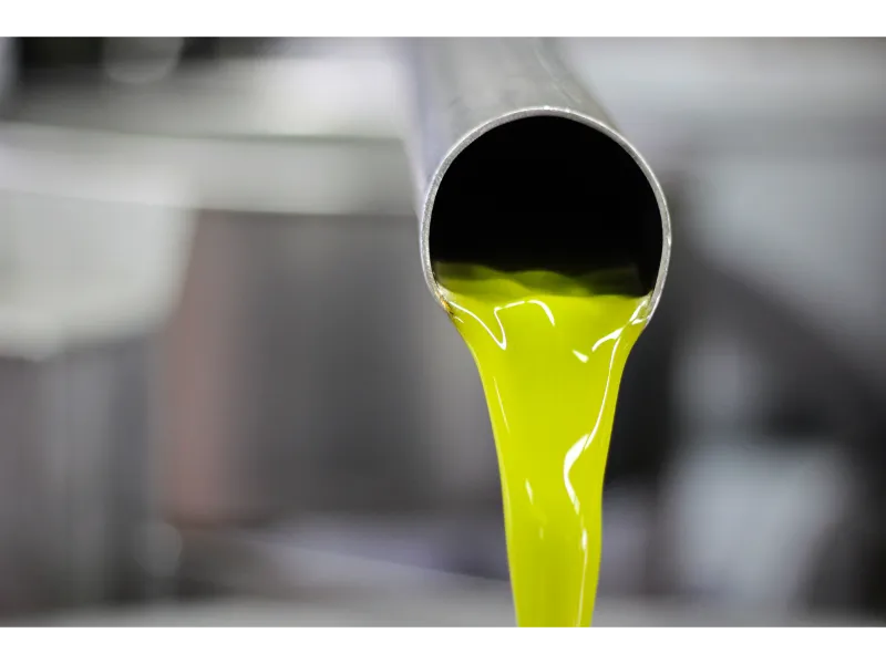 olio frantoio olio frantoio